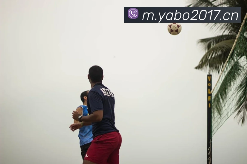 yaboAPP 封面图
